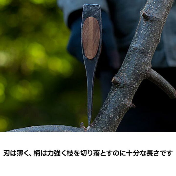 楽天市場】【10日は！枚数限定 最大1,000円OFFクーポン 