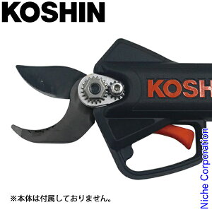 Hi ֐n PA-503 [d͂PPD-1825Bp 0568654  i eiX