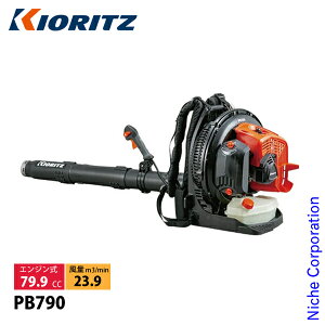 KIORITZij GWu w^Cv PB790 GW w u[ uA[ uA
