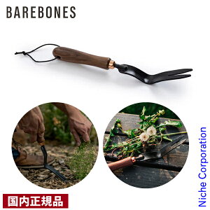 xA{[Y _fI EF[fBOtH[N 20232023000000 K[fjO |  ڏi