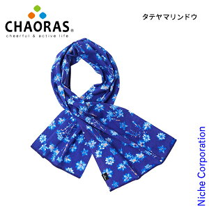 �y10���́I�������� �ő�1,000�~OFF�N�[�|���z�`���I���X �X�|�[�c�Ăʂ��� 9060010 �A�E�g�h�A �E�F�A �A�N�Z�T���[ ��ʂ��� �z�� ���� ���{�� ���ڏ��i