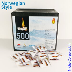 CN ΍ t@C[X^[^[ oN 500 BC0500 dXg[u ΍  AEghA ΋N gF