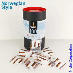 ���C�N ���΍� �t�@�C���[�X�^�[�^�[ 100���� BC8888 �d�X�g�[�u ���΍� ������ �A�E�g�h�A �΋N���� �g�F