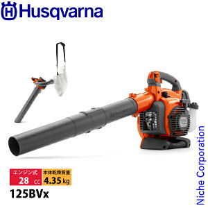 nXNo[i u[ 125BVx tbgmYt oL[Lbgt 952715645 Vi ^] nғmF uA[ Wo u W t oL[ | uA GWu