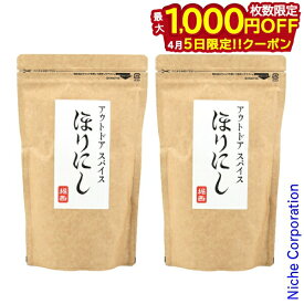 【5日は！枚数限定 最大1,000円OFFクーポン】アウトドアスパイス 「ほりにし」 詰め替え用 2パックセット BBQ バーベキュー 調味料 キャンプ用品 ホリニシ アウトドアスパイス