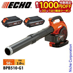 �y30���E1���́I�������� �ő�1,000�~OFF�N�[�|���z�G�R�[ 50V �o�b�e���[�u���� 1P�o�b�e���[2�Z�b�g�E�[�d��t�� BPB510-G1 �u���A �u���A�[ �u�����[ �n���f�B �[�d��