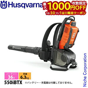 y1030E111́I ő1,000~OFFN[|znXNo[i obe[u[ 550iBTX {̂̂ 967681103 uA uA[ u[ obeE[dʔ w [d obe[