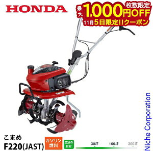 y5́I ő1,000~OFFN[|zk^@ z_ ܂ j[X^[[^[DX t F220K1JAST ^] nғmF F220 JAST k@ ƒp  IC[U