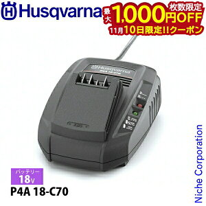 y10́I ő1,000~OFFN[|znXNo[i AXpCA 18Vobe[[d P4A 18-C70 970601004