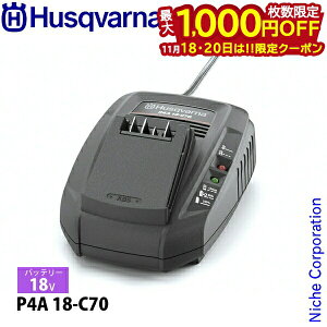 y18E20́I ő1,000~OFFN[|znXNo[i AXpCA 18Vobe[[d P4A 18-C70 970601004