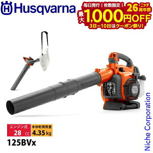 y3`N[|ՁI ő1,000~OFFznXNo[i u[ 125BVx tbgmYt oL[Lbgt 952715645 Vi ^] nғmF uA[ Wo u W