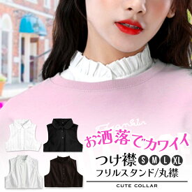 【20%OFFクーポン配布中★】 つけ襟 付け襟 レース 黒 白 スタンドカラー 丸襟 フリル 丸えり おしゃれ タートルネック タートル シンプル 綿 付け衿 ハイネック コーデ 40代 大きいサイズ 大き目 フリルネック 送料無料
