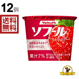 �y�①�z���N���g �\�t�[�� �X�g���x���[ 100g x12��