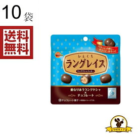 ブルボン ひとくちラングレイス パウチ 47gx10袋