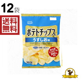 【販路限定品】CGC ポテトチップス うすしお味 160g×12袋