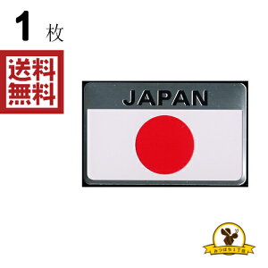 ���m�}�[�N JAPAN �G���u���� AE-1