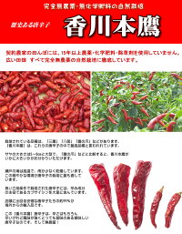 ����ɻҥ�󥭥�1�̳����۹��������̣������80�����������Ի��ѡ��������ݤǰ�Ƥ�줿�͹����θ�����ڿ�̣���ݤߡ����λ���Ҥ����ä���ˤ��븸����ɻҡڥ᡼���أϣˡۡ�smtb-KD�۹�̵����