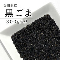 【2袋で送料無料（沖縄県・一部地域を除く）】国産 黒ごま 300g栽培期間中農薬完全不使用で育てられた四…