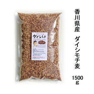 Y _CV  ] _CV` 1500gH@ۂLx ߂̂c_[yz֔zz Y ނ  _CV` yV 쌧 ] H@ nH