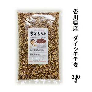 Y  ] _CV` 300gH@ۂLx ߂̂c_[y[֔zz|Xg Y