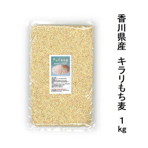 Y L 1kg͔|Ԓ_򊮑SsgpňĂꂽl쌧̂nH@ۂLxAԂoĂFȂɂyz֔zz Y L` 