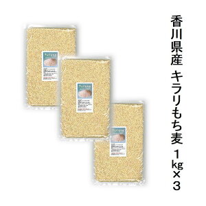 Y L 1kg×3܍͔|Ԓ_򊮑SsgpňĂꂽl쌧̂nH@ۂLxAԂoĂFȂɂyz֔zz Y  L