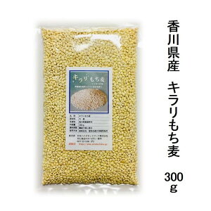 Y L 300g͔|Ԓ_򊮑SsgpňĂꂽl쌧̂nH@ۂLxAԂoĂFȂɂy[֔zz|Xg