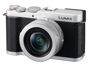 �y10�N�ԕۏؕt���z[�p�i�\�j�b�N] LUMIX DC-L10-S �V���o�[(2026�N6��18�������\��)�������ȍ~�̂��͂�