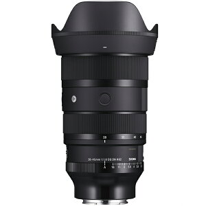 �y10�N�ԕۏؕt���z[�V�O�}] 28-45mm F1.8 DG DN | Art �\�j�[E�p �t���T�C�Y�Ή�