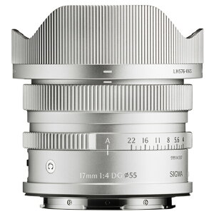 �y10�N�ԕۏؕt���z[�V�O�}]17mm F4 DG | Contemporary L-MOUNT �V���o�[