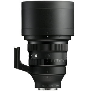 �y10�N�ԕۏؕt���z[�V�O�}] 135mm F1.4 DG | Art �\�j�[E