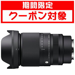 (�N�[�|���Ώ�) [�V�O�}]16-300mm F3.5-6.7 DC OS �\�j�[E�}�E���g (APS-C) 10�N�ԕۏؕt�� (�N�[�|���z�z���� 4��10��20���`25��18��)