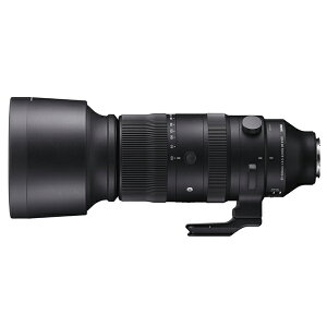 y10Nԕۏؕtz[VO}] 60-600mm F4.5-6.3 DG DN OS Sports \j[Ep