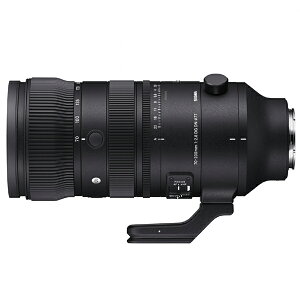 y10Nԕۏؕtz [VO}]70-200mm F2.8 DG DN OS | Sports\j[E}Eg