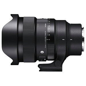 �y10�N�ԕۏؕt���z[�V�O�}]15mm F1.4 DG DN DIAGONAL FISHEYE ���C�JL�}�E���g