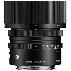 �y10�N�ԕۏؕt���z[�V�O�}]45mm F2.8 DG | Contemporary �\�j�[E�}�E���g