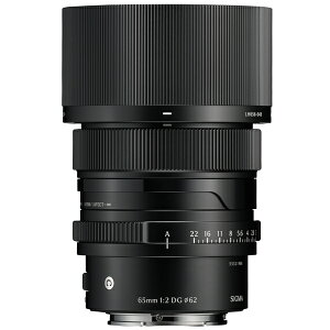 �y10�N�ԕۏؕt���z[�V�O�}]65mm F2 DG | Contemporary �\�j�[E�}�E���g