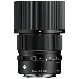 �y10�N�ԕۏؕt���z[�V�O�}]90mm F2.8 DG | Contemporary �\�j�[E�}�E���g