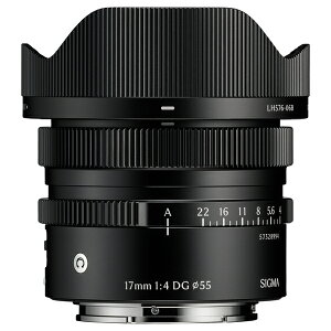 �y10�N�ԕۏؕt���z[�V�O�}]17mm F4 DG | Contemporary �\�j�[E�p�u���b�N