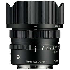 �y10�N�ԕۏؕt���z[�V�O�}]24mm F3.5 DG | Contemporary �\�j�[E�p�u���b�N