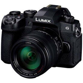 【10年間保証付き】[パナソニック] LUMIX DC-G99DH-K 高倍率ズームレンズキット