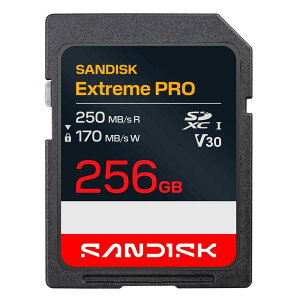 [�T���f�B�X�N�nSDSDXXJ-256G-GSCIN �C�O�p�b�P�[�W