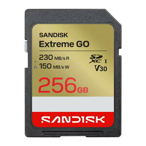 �y�l�R�|�X�������i�z[�T���f�B�X�N�nSDSDXGN-256G-GNCIN �C�O�p�b�P�[�W