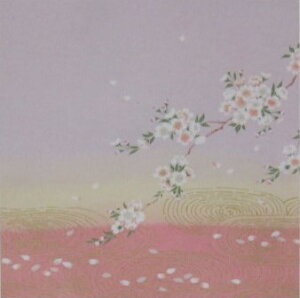 C~@ӂ낵@FTC~@ӂ낵@߂F啗C~i45Z`j24-014003@ϐɍ