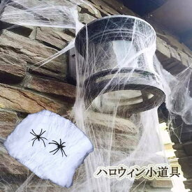 ハロウィン 装飾 ハロウィン 飾り ディスプレイ スパイダーネットデコレーション 店舗装飾 壁デコレーション 飾り 蜘蛛の巣 halloween インテリア ネット 装飾品 スパイダーネットデコレーション 子ども 部屋 ホラー 怖い 飾りつけ スパイダーウェブ クモ ホラーハロウィン