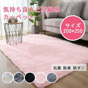 送料無料 ラグ ラグマット ラグカーペット マイクロファイバー 北欧 おしゃれ カーペット 洗える 北欧 rug ウォッシャブル 玄関マット ベッドサイド アクセント ラグ ふわふわ 床暖房 ホット