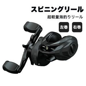 tBbVO ނ [ XsjO[ E  y [aXv[ yAO4+1 őhO12KG MA8.1F1 ^[ S  Xv[ C nh En