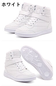 Xj[J[ fB[X  nCJbg  y b L ^C V[Y Cq[Xj[J[ r lC yXb| nCq[ C V[Nbgu[c  gAbv  