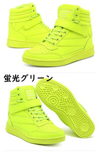 Xj[J[ fB[X  nCJbg  y b L ^C V[Y Cq[Xj[J[ r lC yXb| nCq[ C V[Nbgu[c  gAbv  