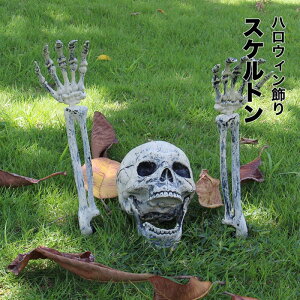 uO_ZbgvnEB  hN XPg W   {[ | | ͋C p[eB[ RXv COS DIY\  v[g Mtg  R~P